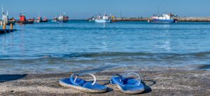 Everitt Cape Agulhas Beach Life